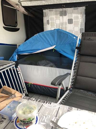 Alles rund um den Schäferhund, diskutieren erwünscht.-Beitrag-Bild