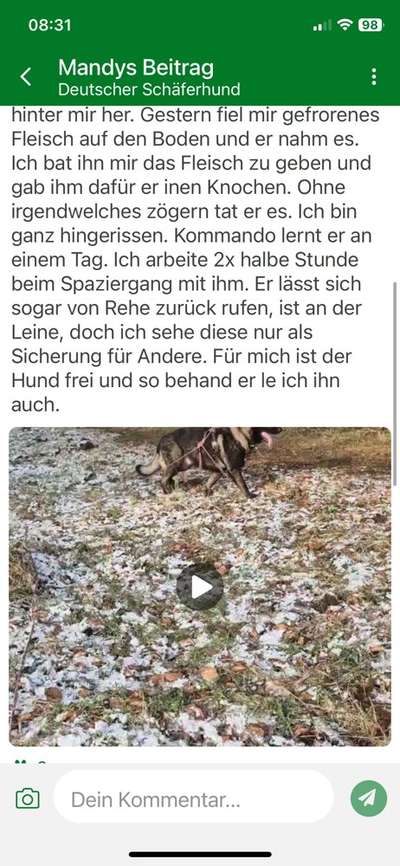 Sozialisierung und Trauma-Beitrag-Bild