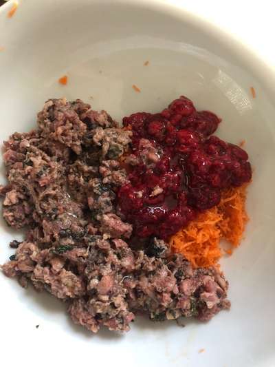 Zeigt her Eure Futternäpfe-Beitrag-Bild