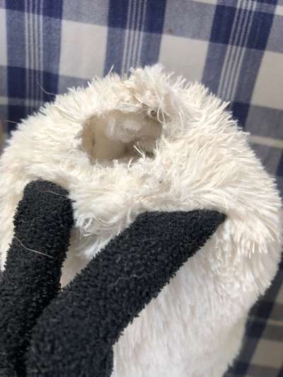 Spielzeug welches lange hält?-Beitrag-Bild