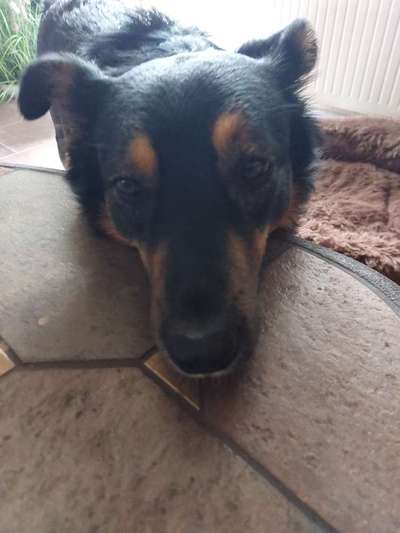 Fotochallange 84-Beitrag-Bild