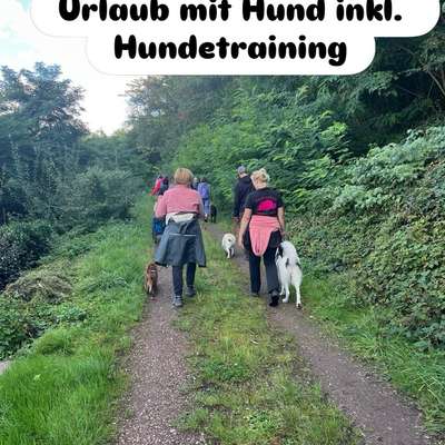 Giftköder-(Trainings-)Reisen mit Hund-Bild
