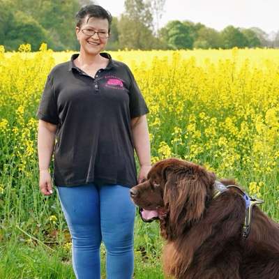 Hundeschulen-Hundeschule Maureen‘s Dogs-Bild