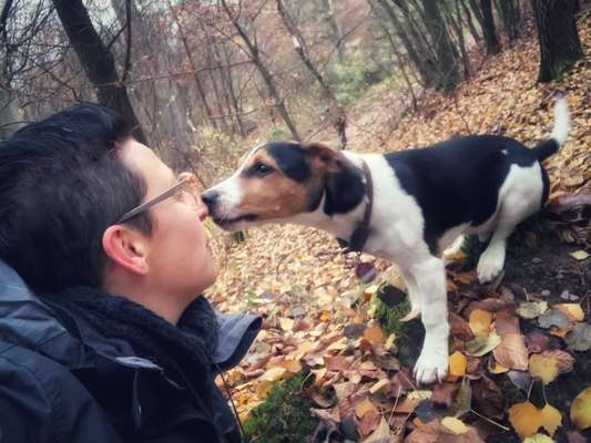 Küsschenbilder-Beitrag-Bild