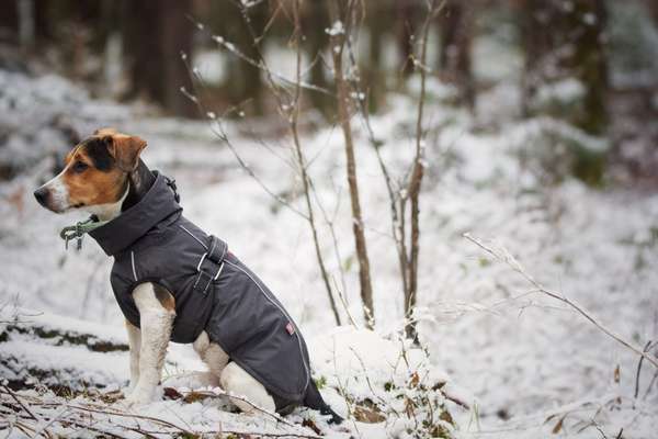 Zeigt euer coolstes winteroutfit-Beitrag-Bild