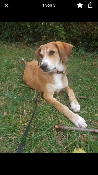 Foto Challenge 3-Beitrag-Bild