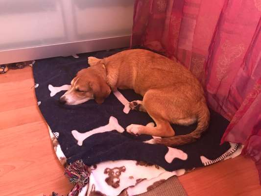 Foto Challenge 3-Beitrag-Bild