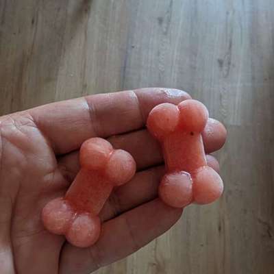🍦 Hundeeis im Sommer: Abkühlung oder unterschätztes Risiko?-Beitrag-Bild