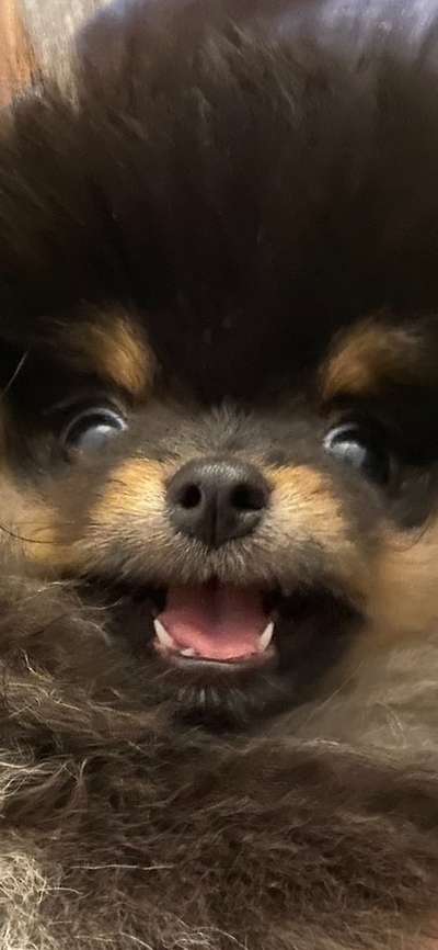 Lustige Grimassen & verrückte Posen-Beitrag-Bild