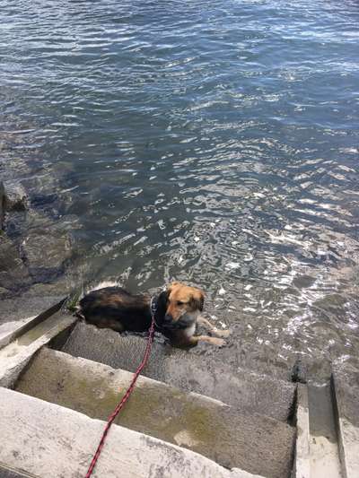 35. Handy Foto Challenge - Das nasse Element-Beitrag-Bild