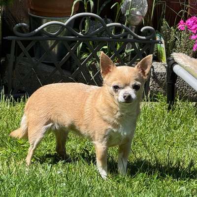 Michaela's Profilbild