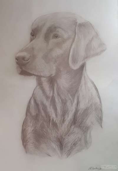 Zeichnungen eurer Hunde-Beitrag-Bild