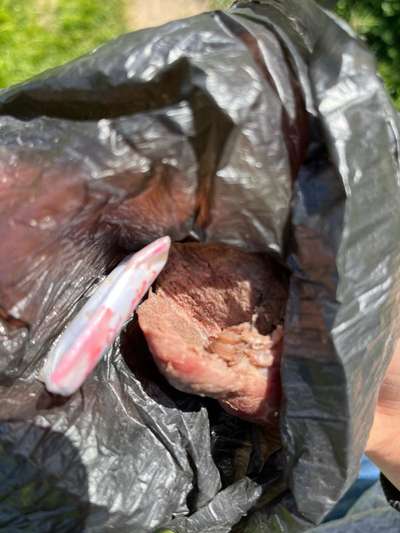 Giftköder-Giftköder-Bild