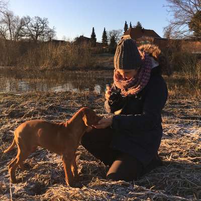 Hundetreffen-Junghunde Treffen