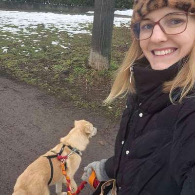 Hundetreffen-Junghundtreffen-Bild