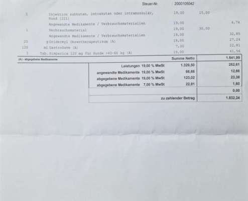 Rechnung vom Tierarzt-Beitrag-Bild