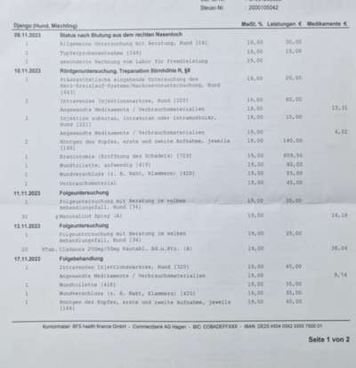 Rechnung vom Tierarzt-Beitrag-Bild