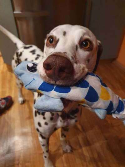 Fotochallange Nr. 57     PORTRÄT.   Beendet!!!!!!!!-Beitrag-Bild