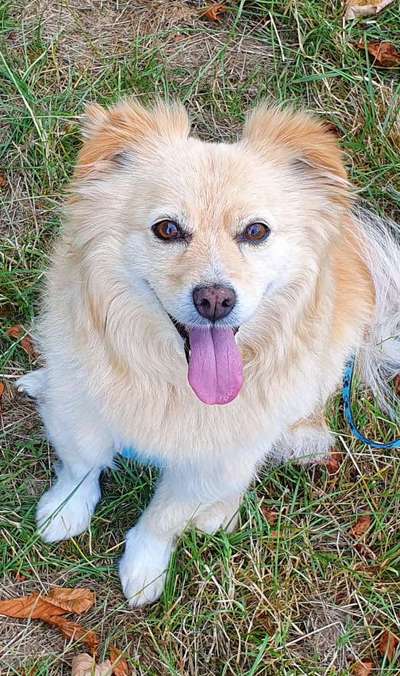 Zeigt eure Portraits-Beitrag-Bild