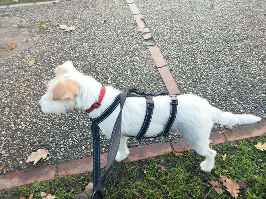 Zutreffende "Vorurteile"?-Beitrag-Bild