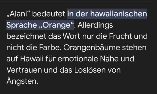 TierschutzhundeStammtisch🐕-Beitrag-Bild