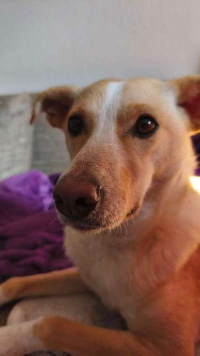 aktuelles Foto Gruppe Dresden-Übigau