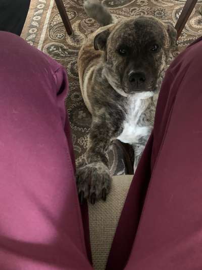 147. Foto Challenge: Bettelblick-Beitrag-Bild