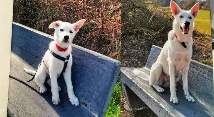 Lieblingsbild-Beitrag-Bild