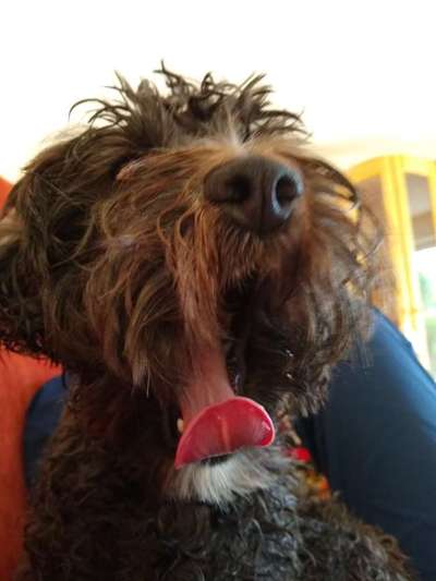 Fotochallange 84-Beitrag-Bild