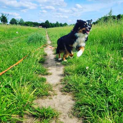 Theos Fotochallenge Nr. 3-Beitrag-Bild