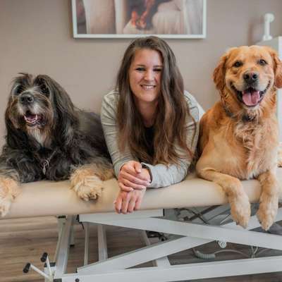 Hundetreffen-Gemeinsam Spazieren