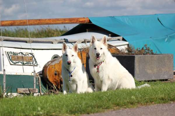 Fotochallenge Nr.100 Urlaubsimpressionen-Beitrag-Bild