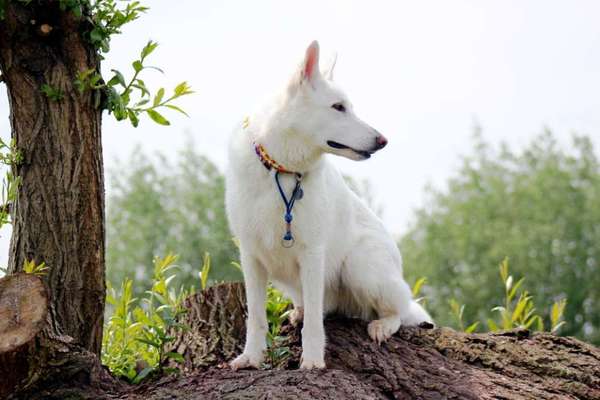 Vorher.... Nachher-Beitrag-Bild