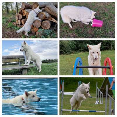 12. Collagen Challenge - Auslastung/Training-Beitrag-Bild