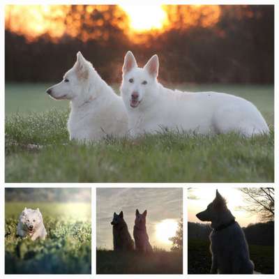 14. Collagen Challenge- Sonnenaufgang & -Untergang-Beitrag-Bild