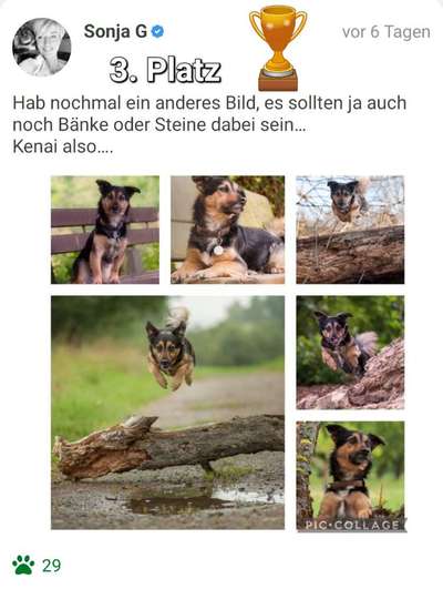 31. Collagen Challenge - Bänke/ Steine /Baumstümpfe-Beitrag-Bild