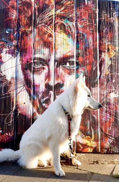 32. Farben Challenge  ** ( BUNTE ) STREIFEN **-Beitrag-Bild