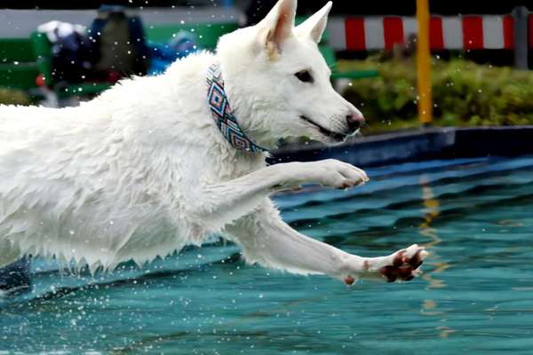 Fotochallenge Nr.105  Glücksmomente-Beitrag-Bild