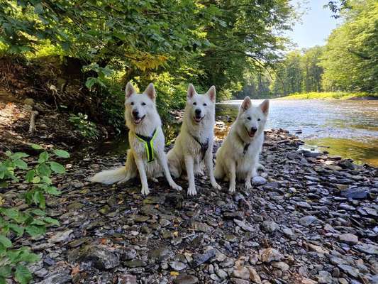 Handy-Foto-Challange Nr. 8-Beitrag-Bild