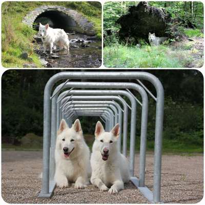 58. Foto Collagen Challenge: Torbögen-Beitrag-Bild