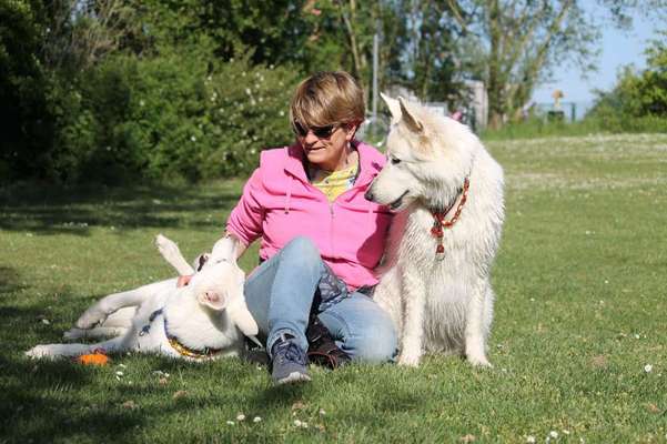 FOTOCHALLENGE 45: Dein Hund und Du - ein eingespieltes Team-Beitrag-Bild