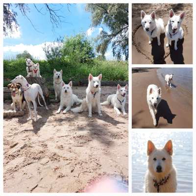 37. Collagen Challenge- Am Strand-Beitrag-Bild