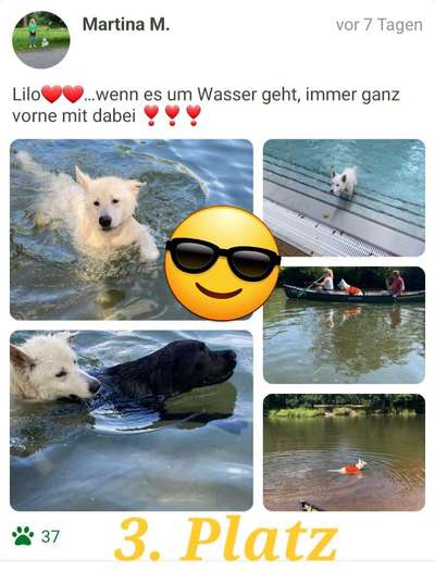 Eure schönsten Fotos mit Wasser-Beitrag-Bild