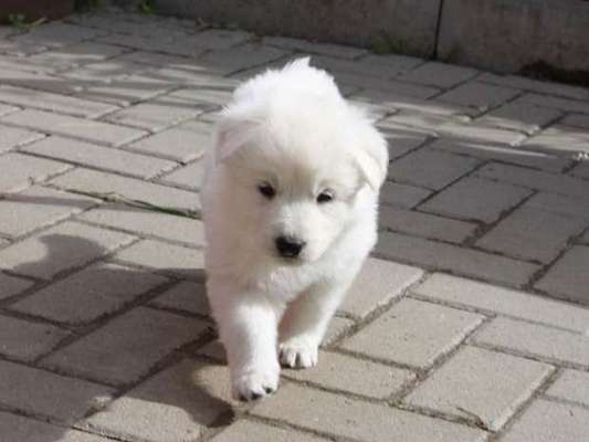 Foto Challenge 82-Beitrag-Bild