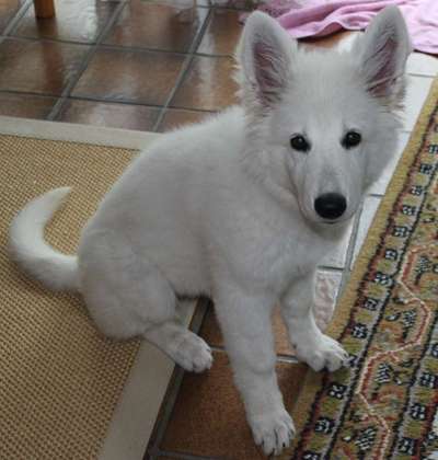 Vorher.... Nachher-Beitrag-Bild