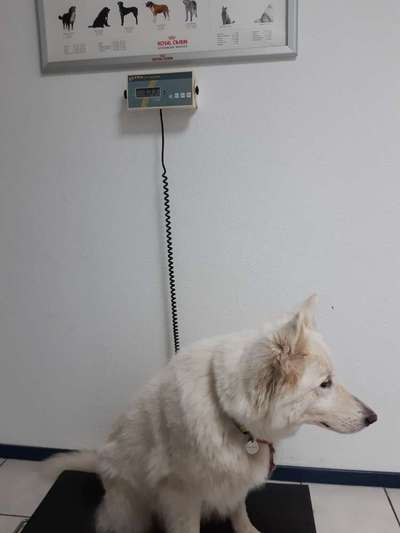 Fotochallenge Nr. 64-Beitrag-Bild