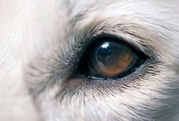 Blick fürs Detail!-Beitrag-Bild