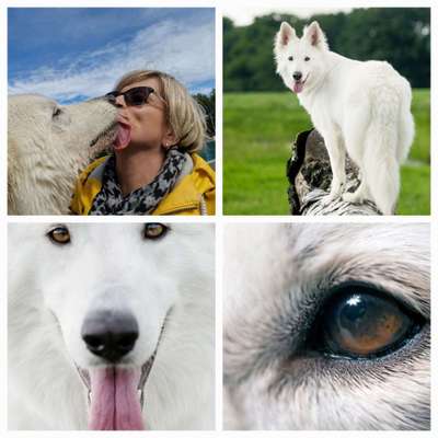 7. Collagen Challenge - Ganz Nah-Beitrag-Bild