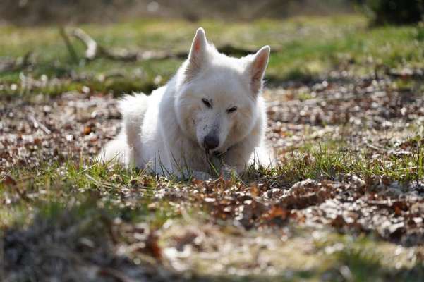 Foto Challenge Nr. 79-Beitrag-Bild