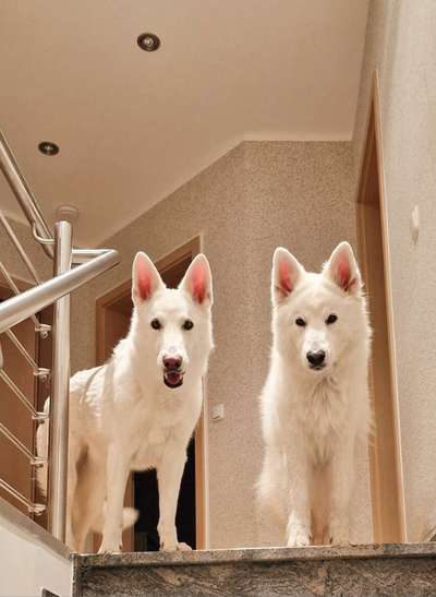 23. Handy Foto-Challenge-Beitrag-Bild